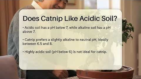 Does Catnip Like Acidic Soil? - The Plant Enthusiast