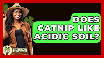 Does Catnip Like Acidic Soil? - The Plant Enthusiast