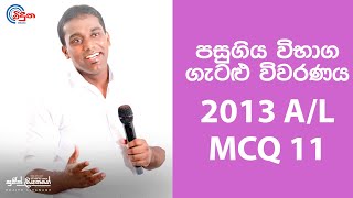 G.C.E. A/L Physics 2013 (Question 11) | භෞතික විද්යාව පසුගිය විභාග ගැටළු විවරණය