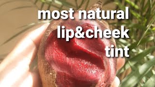 Natural Lip and Cheek tint that lasts long  #shorts #YouTubeshortvideos #shortvideos