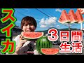 【検証】スイカだけを３日間食べ続けたら何キロ痩せる？【夏の超過酷企画】