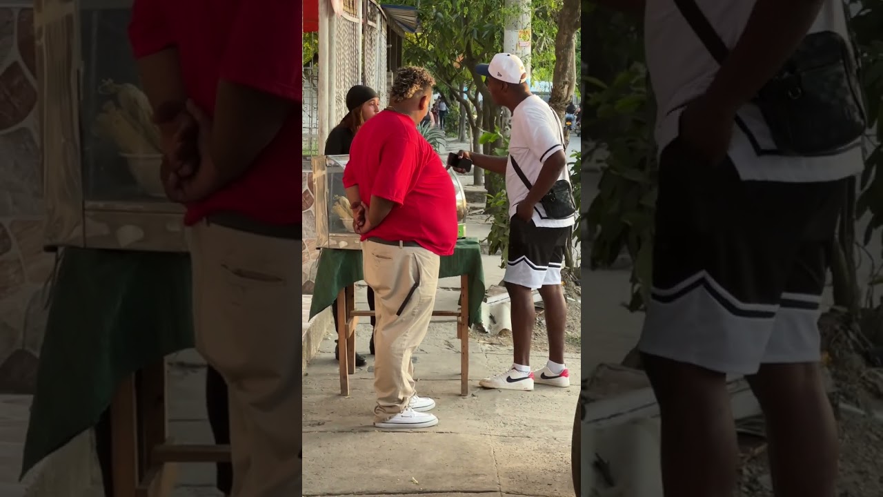 Las presas de pollo 🍗