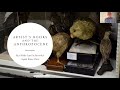 Artists books and the anthropocene presentation at the book club of california