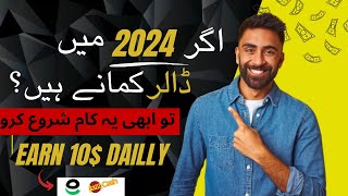 Earn 300$ Monthly  in 2024 | From Urdu News Blog | Online Earning in 2024 | Dr Tech Info