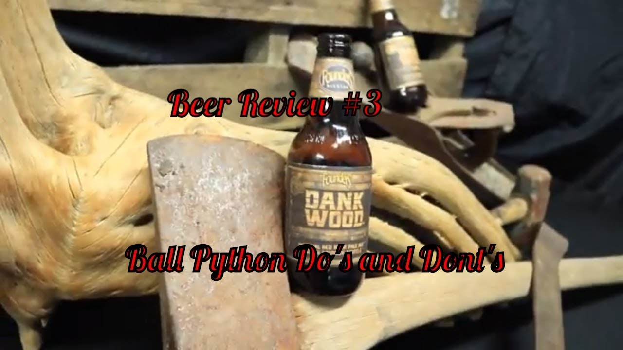 DankWood Beer Review & Ball Python do's and don'ts