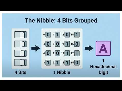 Bits, Bytes, Nibbles & Memory Units Explained | Edexcel IGCSE Computer Science (9–1) | Binary Basics
