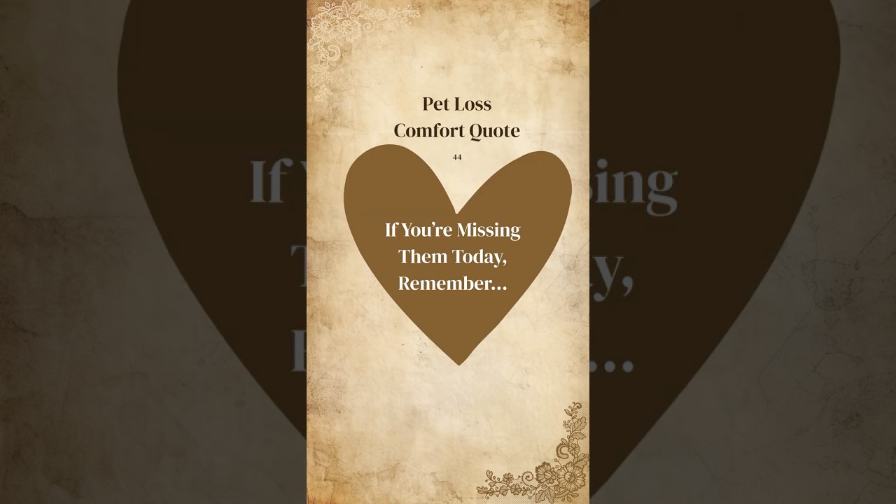 Pet Memorial Quotes Gtief 44 