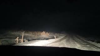 Erzurum Tekman ilçesi İncesu, Dengiz köyü Yolunda Kurtlar 🐾🐺