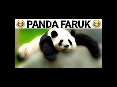 FURKAN EMİRCE😂 PANDA FARUK  😂GÜLMEKTEN SIÇIRTAN EN KOMİK DUBLAJI 😂 YENİ 2021😂