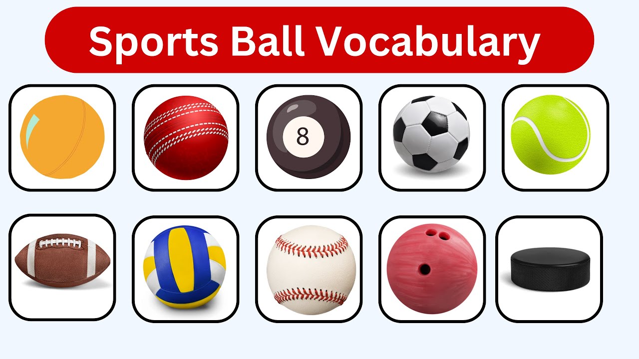 Learn Types of Balls in English! Types of Sports Balls Ball Names in  English For Everyone!⚽️⚾️🥎🏀🏐🏈🏉🏓