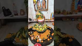 #bholenath #mahakal #shivling #monday #bhajanstatus #whatsappstatus #youtubeshorts