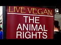 Vegan outreach with vip and sentient rights ireland