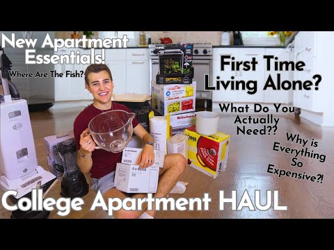 MOVING INTO MY FIRST COLLEGE APARTMENT *Apartment Essentials HAUL* (what  you actually need) 