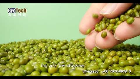 【4k】Sorting mung beans，GroTech MultiFunction Optical Sorter Machine For Multiple Purpose