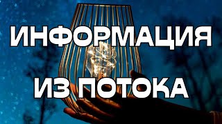 🔔ИНФОРМАЦИЯ ИЗ ПОТОКА💬🌪️🌌