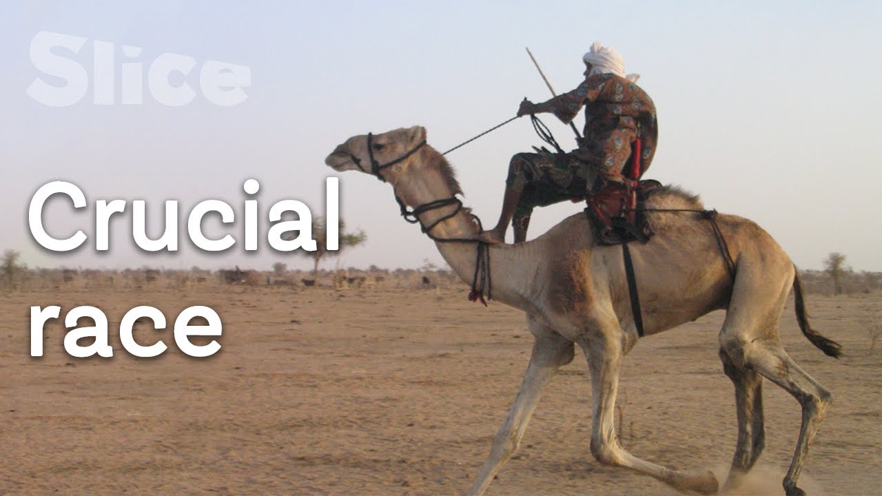 Documentary backdrop image for Decisive competition in Niger's desert (2022)