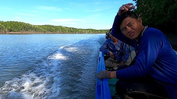 Đừng Đùa Với Cá Ngát Dù Chỉ Một Lần/Đạt Nguyễn Cần Giờ