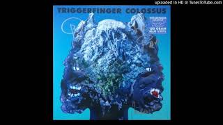 Triggerfinger - Colossus - 08 - Bring Me Back a Live Wild One