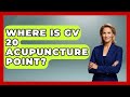 Where Is GV 20 Acupuncture Point? - China Cultural Expedition