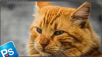 Como desfazer o CTRL e no Photoshop?