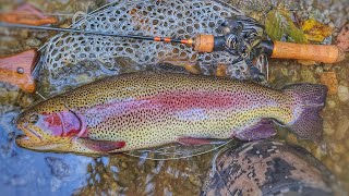 Best Fall BFS Trout Fishing Lure - Mukai B-Chatter