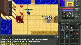 TheChaos - First Tests on OpenTibia Wealth