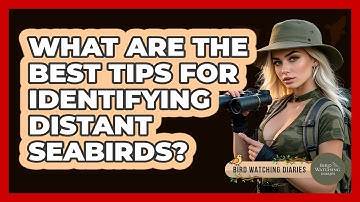 What Are The Best Tips For Identifying Distant Seabirds? - Bird Watching Diaries