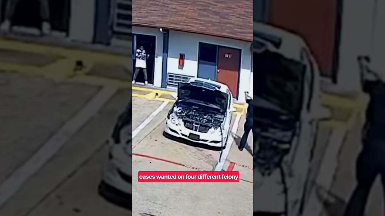 Dallas Shootouts💥💥💥, Tesla gymnastics car🏎️, Florida Giant Killer Gators🐊....