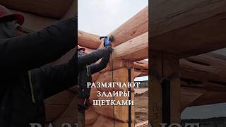 СРУБ В КАНАДЕ VS СРУБ В РОССИИ! #сруб #деревянныйдом #домизбревна