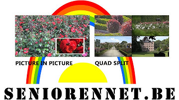 Adobe premiere elements PIP + Quadsplit maken