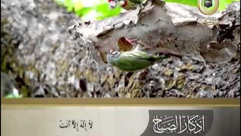 حافظوا دومًا على أذكاركم في كل صباح ومساء