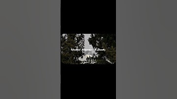 [ سورة النور ] [ ٣٦ _ ٣٧ ] القارئ : عمر بن ضياء الدين