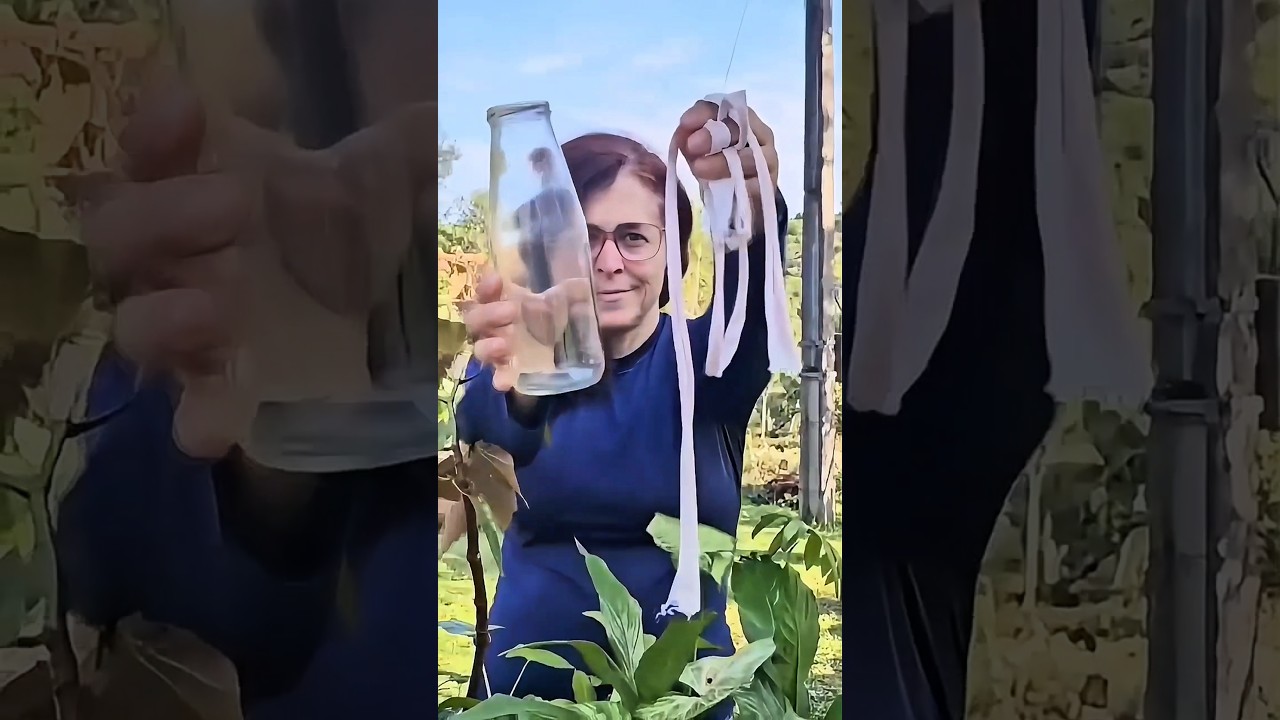Original Title & Thumbnail