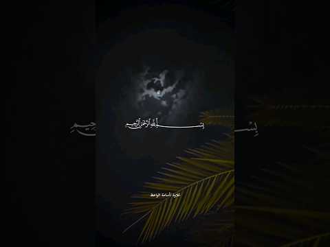 ما تيسر من سورة المعارج بتلاوة أسامة الواعظ 