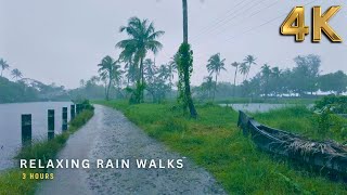 ASMR Village Rain Walk | Soothing Rainy Day Visuals for Deep Sleep & Stress Relief | Compilation
