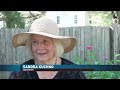 Back Alley Garden Becomes Monarch Waystation in Roanoke