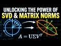 Unlocking the Power of SVD and Matrix Norms