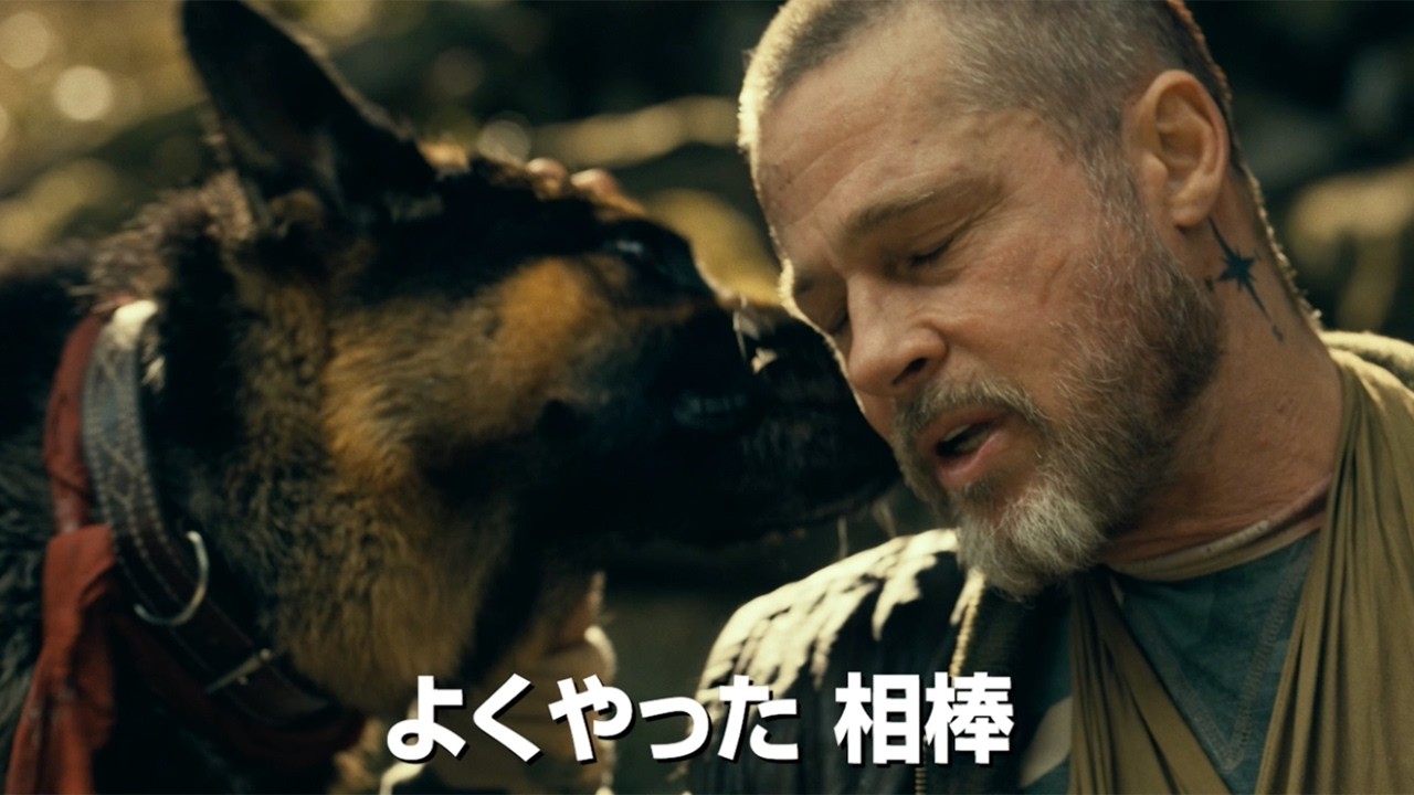 ブラッド・ピット主演 退役軍人と愛犬の“絆”を描く 映画「ハート・オブ