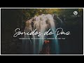 Sonidos de Paz | Ambientes de Paz