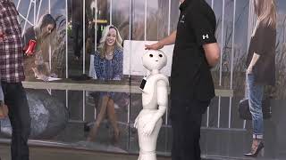 CloudMinds Robot Rentals