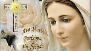 Video thumbnail of "ME ALEGRO EN DIOS - CANCION A LA VIRGEN"