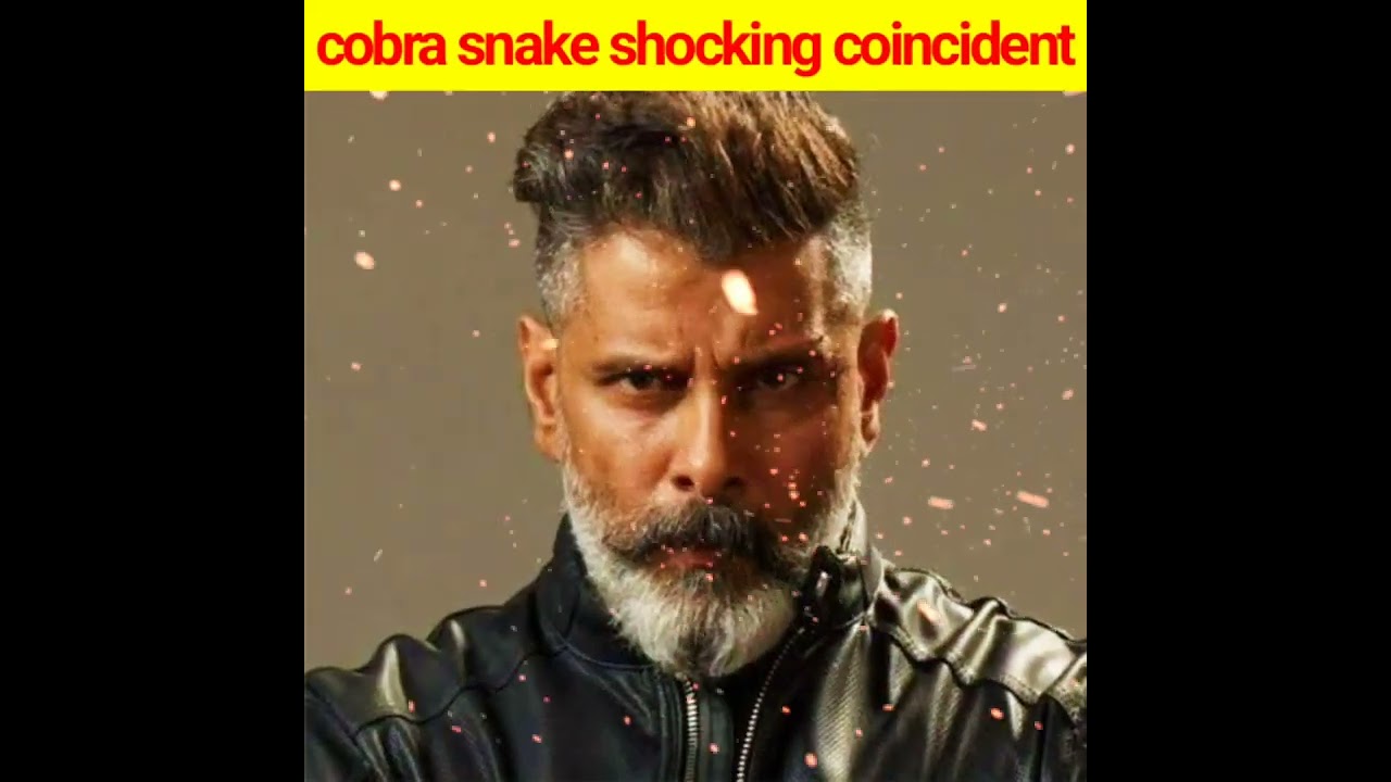 Cobra/ Cobra movie review 💯👍/ Chalti bus me mila cobra snake😱😱/ 