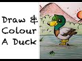 Draw  colour a duck  how to draw a duck  simplesigns