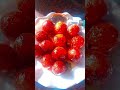 home made # gulab jamun 😋 # special # viral Short video 😍😍
