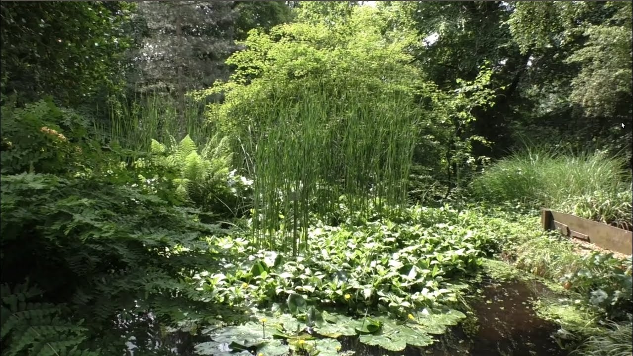 Botanischer Garten Wuppertal Teil 2 Youtube