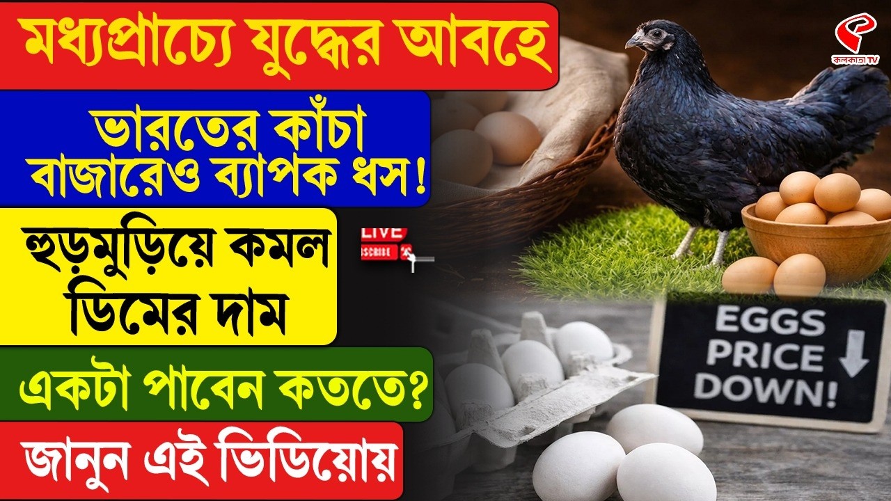 Middle-East | Egg Price | মধ্যপ্রাচ্যে যু/দ্ধের আবহে ভারতের কাঁচা বাজারেও ধস! কমল ডিমের দাম