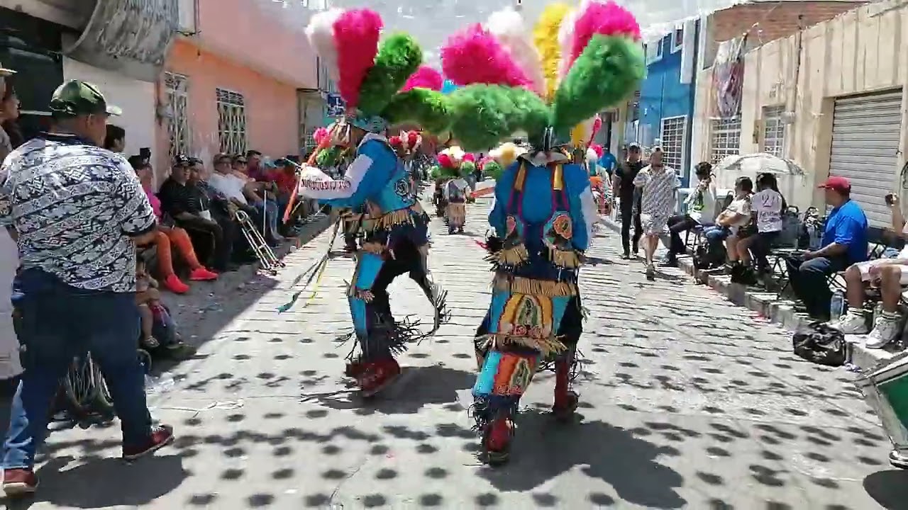Casta De Guerreros Toltecas de Ags 