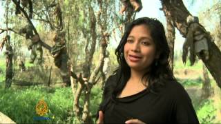 Mysterious Island Draws Tourists To Mexico