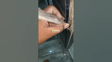 द मक क कहर Viral Shorts Shortvideo Viral Woodworking Dimak Wood786 