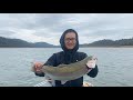 COLLINS LAKE TROPHY TROUT FISHING